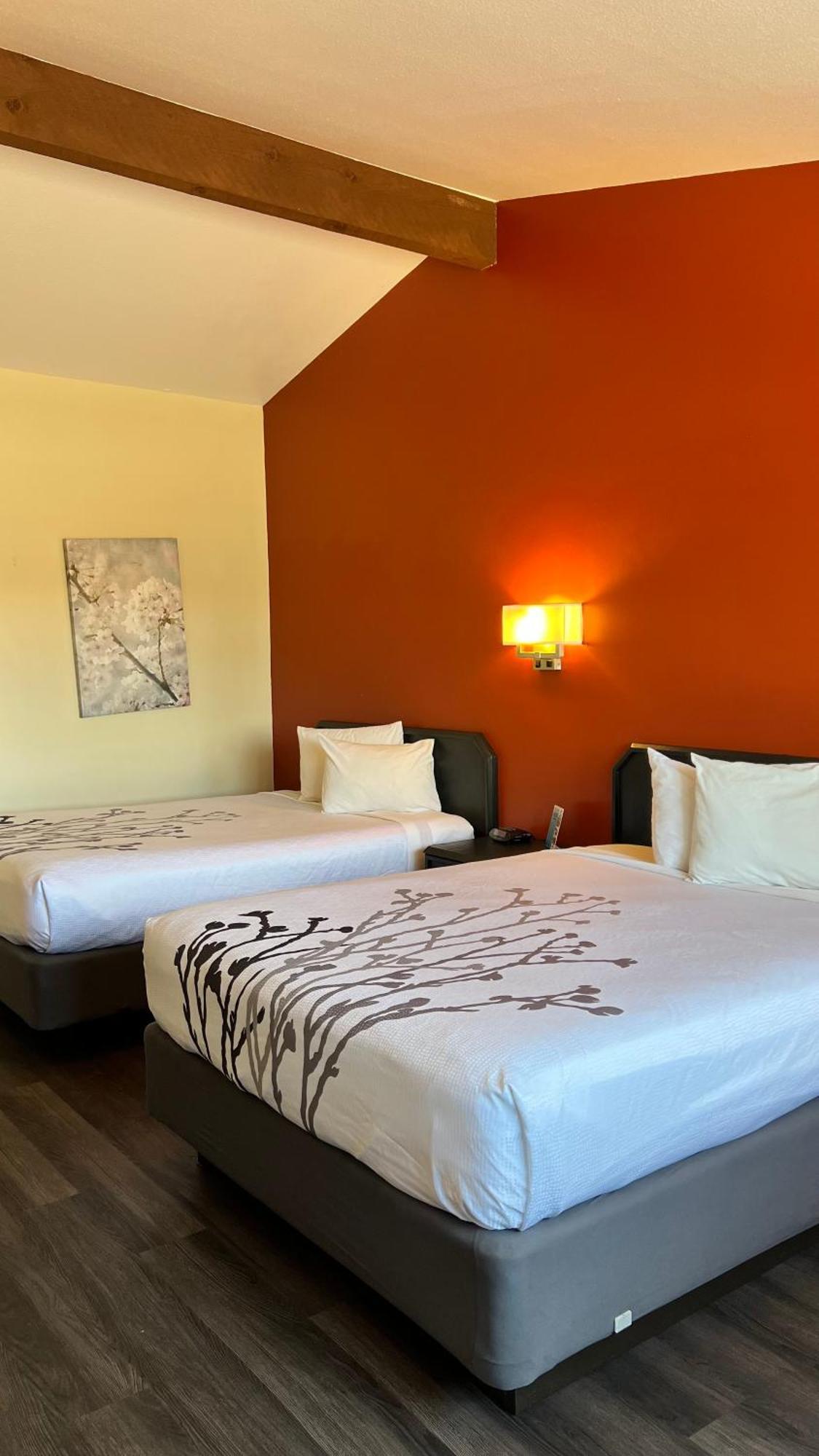 Black Canyon Motel มองโทรส ภายนอก รูปภาพ
